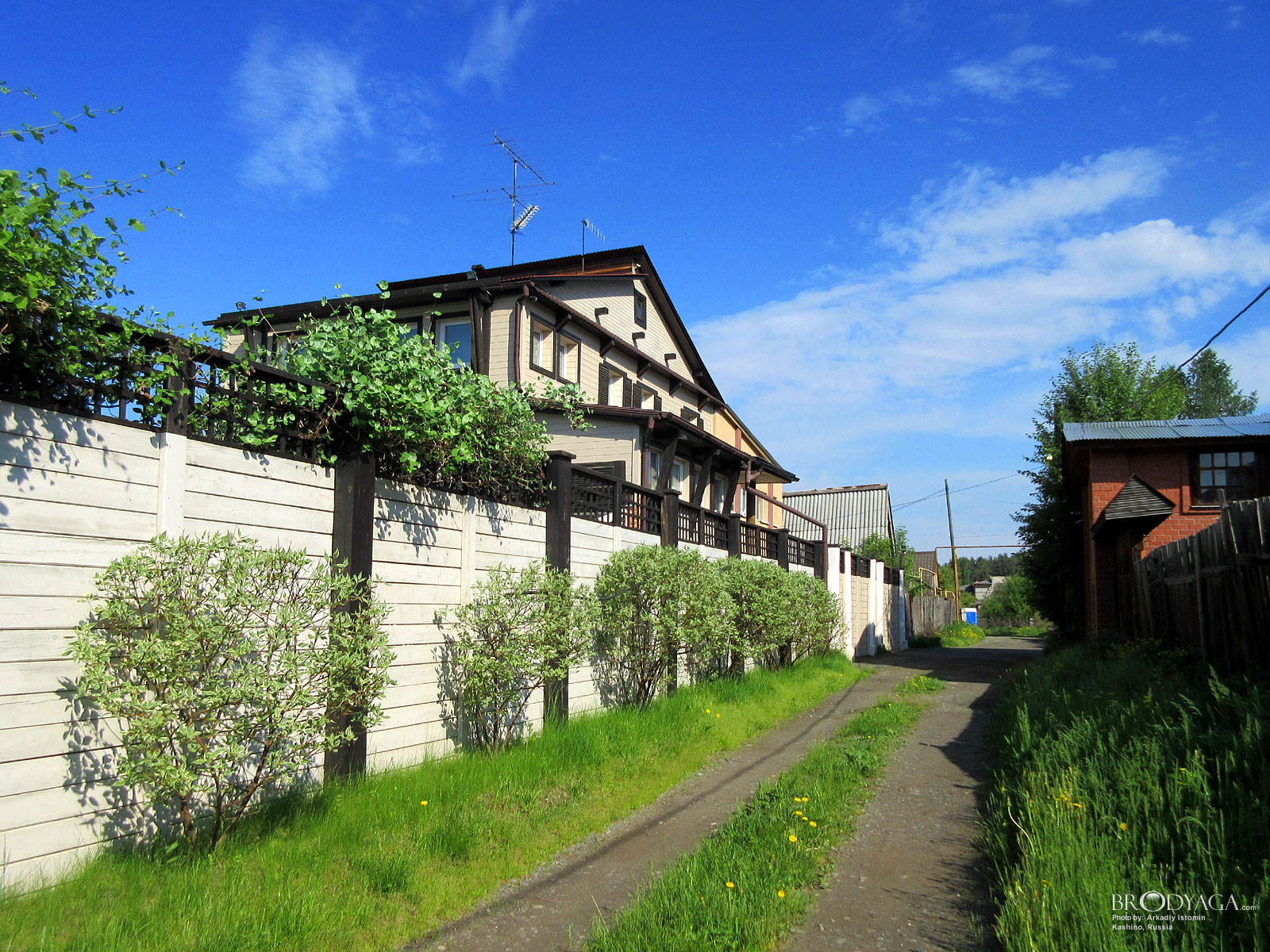 Kashino